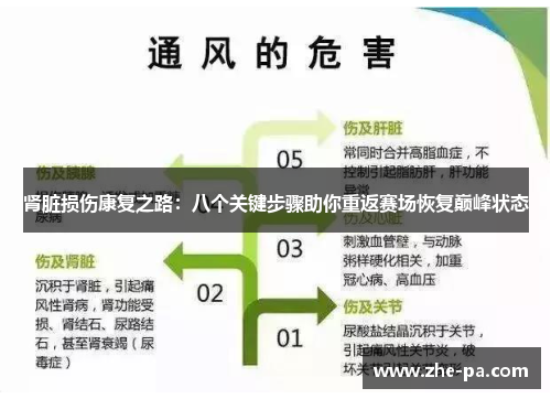 肾脏损伤康复之路：八个关键步骤助你重返赛场恢复巅峰状态